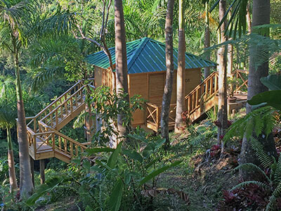 "A treehouse at a PR rainforest hotel."