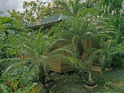 "El Mirador treehouse at PR Eco Resort"