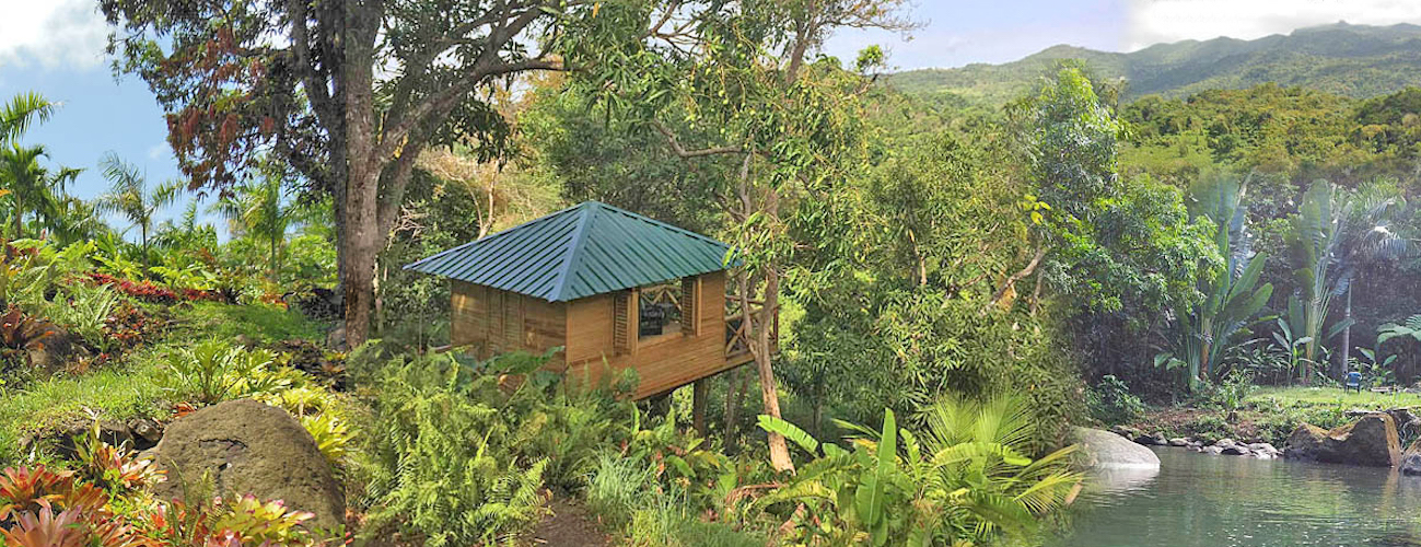 "PR Treehouse, Yunque Hotel, PR Rainforest Hotel, PR Eco Resort, PR Ecolodge, Yunque Lodging and PR Glamping"