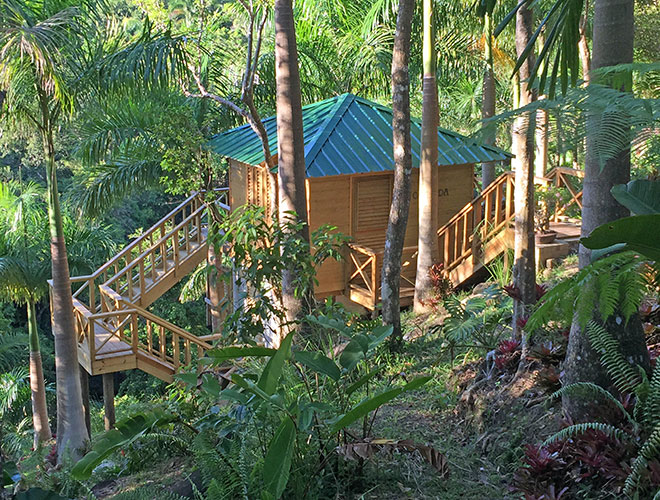 "A treehouse at a PR rainforest hotel."