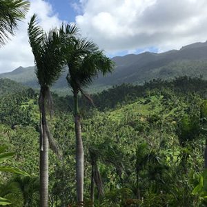 PR Treehouse, Yunque Hotel, PR Rainforest Hotel, PR Eco Resort, PR Ecolodge, Yunque Lodging and PR Glamping