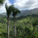 PR Treehouse, Yunque Hotel, PR Rainforest Hotel, PR Eco Resort, PR Ecolodge, Yunque Lodging and PR Glamping